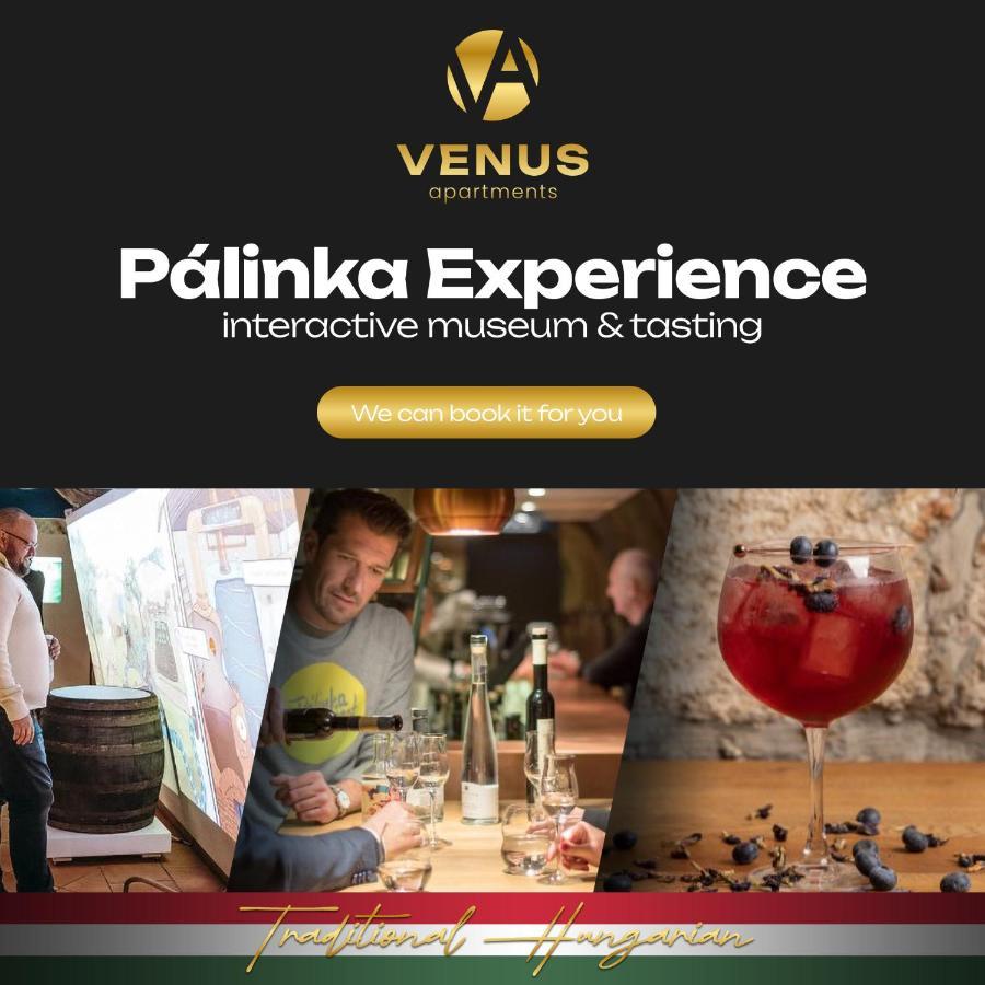 Venus Apartments - Gozsdu Court I 布达佩斯 外观 照片